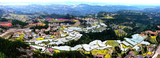 蒼溪黃貓埡農文旅融合示范農業園區。蒼溪縣委宣傳部供圖