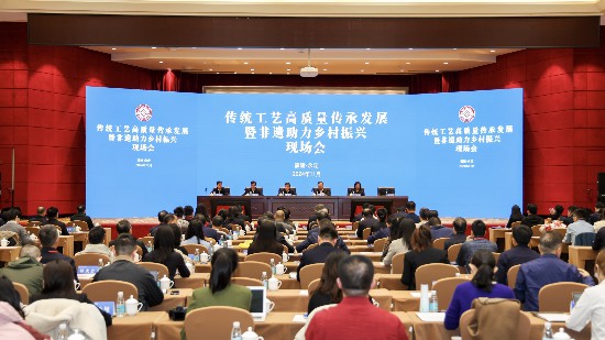 會議現場。主辦方供圖