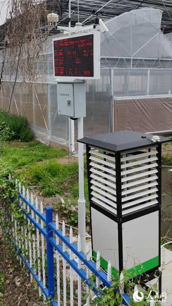 在福建省漳州市龍海區(qū)東園鎮(zhèn)港邊村育苗基地，佇立在田間的“AI蟲情測報儀”。人民網(wǎng) 李昌乾攝